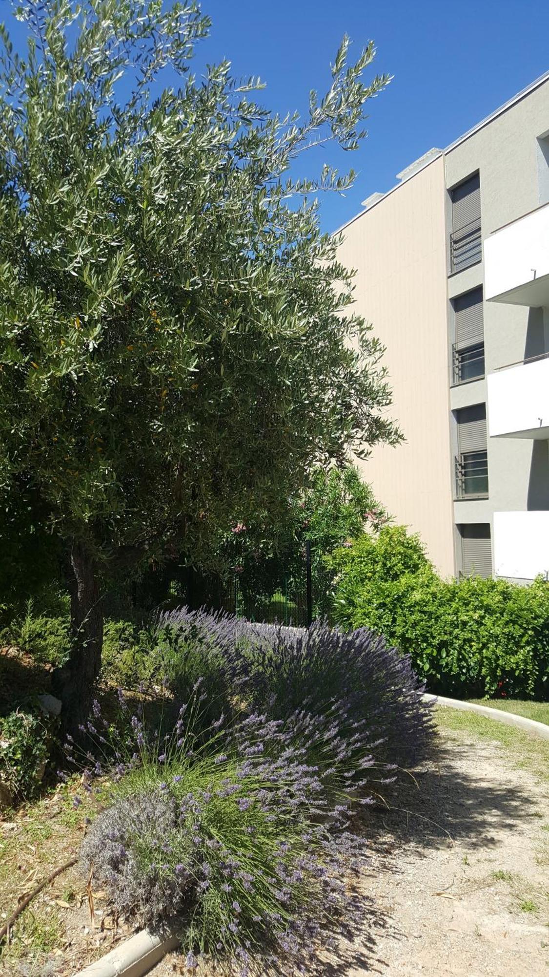 Studio Vista Appartement Antibes Buitenkant foto